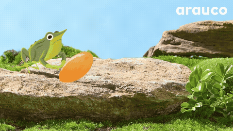 GIF 5